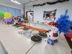 “多國風(fēng)采、別具風(fēng)格”的的圣誕節活動(dòng)